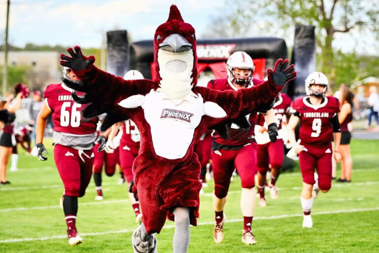 Bulldogs out, Phoenix in as Cumberland sports nickname – The Tennessean