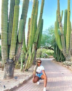 Things To Do in Phoenix, AZ – The Arizona Republic