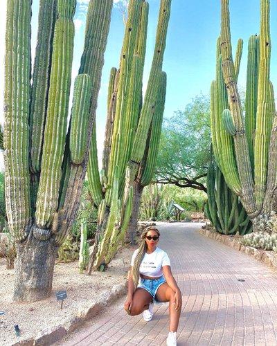 Things To Do in Phoenix, AZ – The Arizona Republic