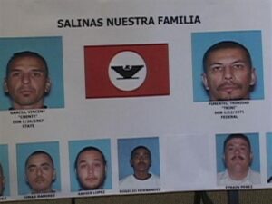 Operation Snake Eyes leads to arrest of 51 known gang members in Phoenix – KTAR.com