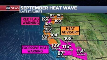 ‘Hell on earth’: Phoenix’s extreme heatwave tests the limits of survival | Arizona – The Guardian