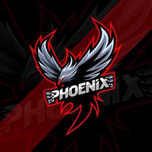 Follow these Phoenix gamers as they take on video games such as Minecraft, Call of Duty – azcentral.com and The Arizona Republic