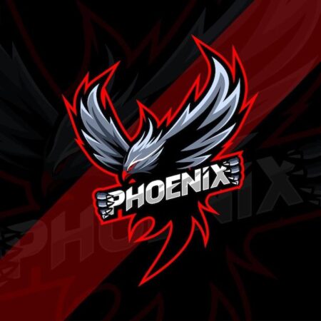 Follow these Phoenix gamers as they take on video games such as Minecraft, Call of Duty – azcentral.com and The Arizona Republic