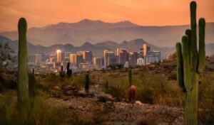 Here’s where Phoenix ranks among ‘best weed cities’ in the US – The Business Journals