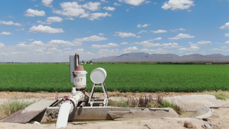 The Sinking Arizona Town Where Water and Politics Collide (Published 2024) – The New York Times
