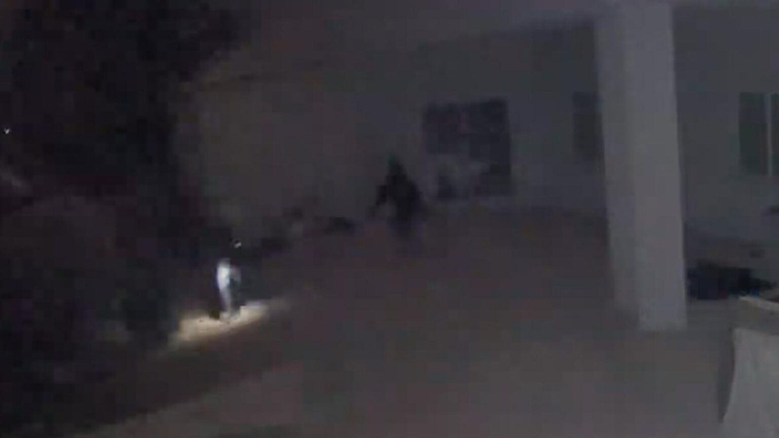 7 members of South American theft group arrested for Phoenix burglaries – Fox News