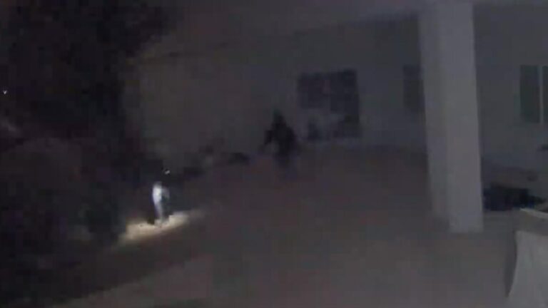 7 members of South American theft group arrested for Phoenix burglaries – Fox News