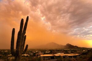 Phoenix’s relentless heat: A staggering 70 days over 110 degrees, while other cities don’t even hit 100 – 12News
