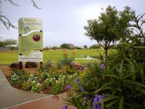 Parks and Recreation Department – City of Phoenix (.gov)