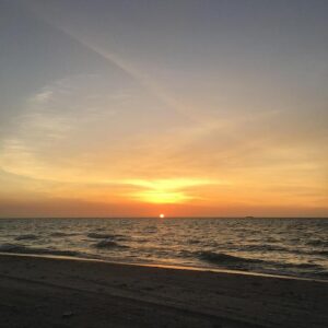 Suns Storm Back to Defeat Kings in Season Opener – Sports Illustrated