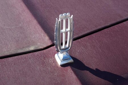 Phoenix Mercury Unveils Striking New Logo to Celebrate 30th Anniversary Phoenix Mercury unveil new logo to celebrate 30th season – USA Today