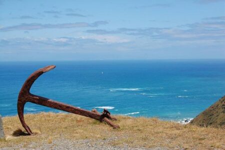 Former News Anchor Sentenced to 10 Years in Prison Over Pandemic Fraud – The New York Times