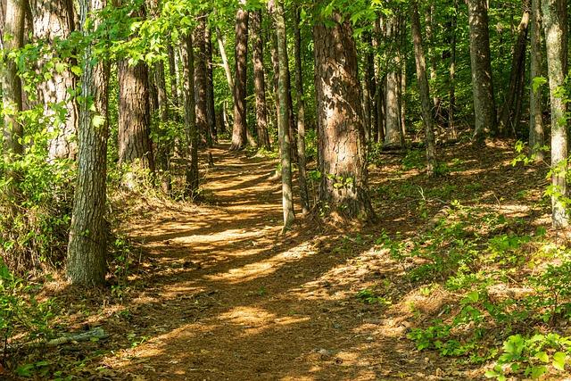 Former Suns Guard Details Kevin Durant’s Feelings Toward Suns – Sports Illustrated