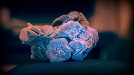 Nutrien sells US$900 million in assets, focuses on a hot Saskatchewan commodity: potash – The Star Phoenix