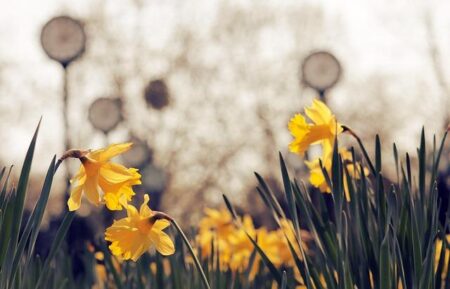 Phoenix’s worst spot for violent crime: ‘This area, this is a bad area’ – azcentral.com and The Arizona Republic