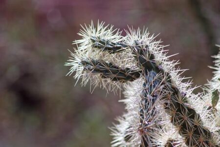 Phoenix will drive industrial growth even as US development slows down, experts say – The Business Journals