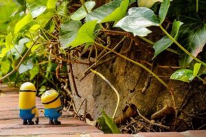 Kevin Durant to miss Suns vs Rockets matchup – Burn City Sports