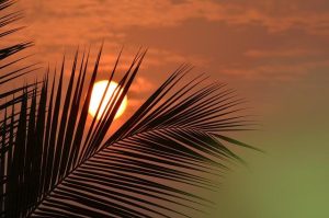 WATCH: DHS Secretary Noem Discusses SAVE Act and Election Security in Phoenix WATCH: DHS Secretary Noem speaks about SAVE Act and election security in Phoenix – PBS