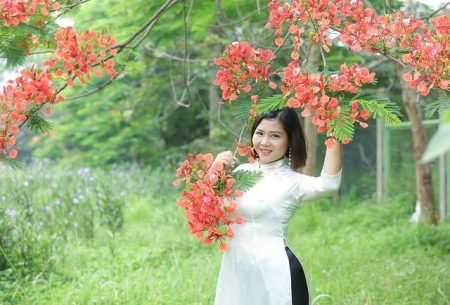 Parents Outraged Over Phoenix School’s Controversial ‘Pink Pony Club’ Performance Parents group outraged that Phoenix school played ‘Pink Pony Club’ – Phoenix New Times