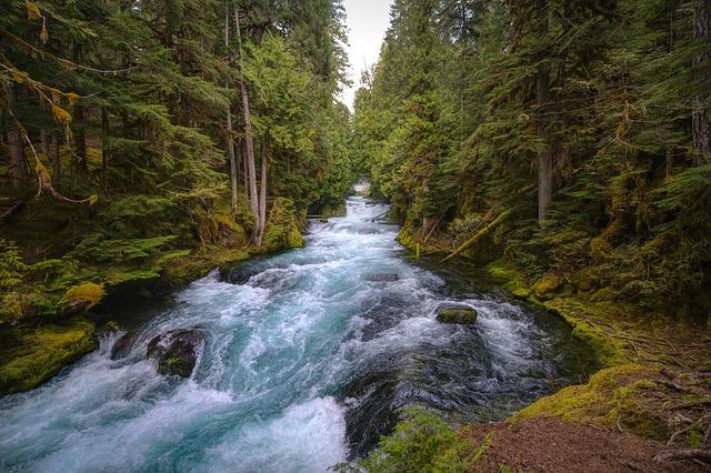How feds traced alleged drug ring leader to Oregon in largest US fentanyl bust – OregonLive.com