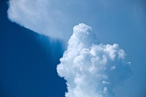 ‘Radical Islam’ seen as top threat in TPUSA straw poll – The Jerusalem Post