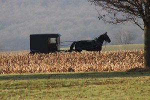 Amish Shah wins Democratic congressional primary in Arizona, a blow to the party establishment – PBS