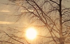 Morning Weather Forecast – 4/17/26 – FOX 10 Phoenix