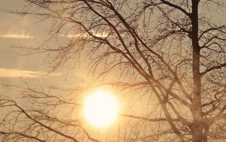 Get Ready for Bright and Sunny Skies: Your Morning Weather Forecast for April 17, 2026 Morning Weather Forecast – 4/17/26 – FOX 10 Phoenix